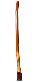 Ironbark Didgeridoo (IB167)